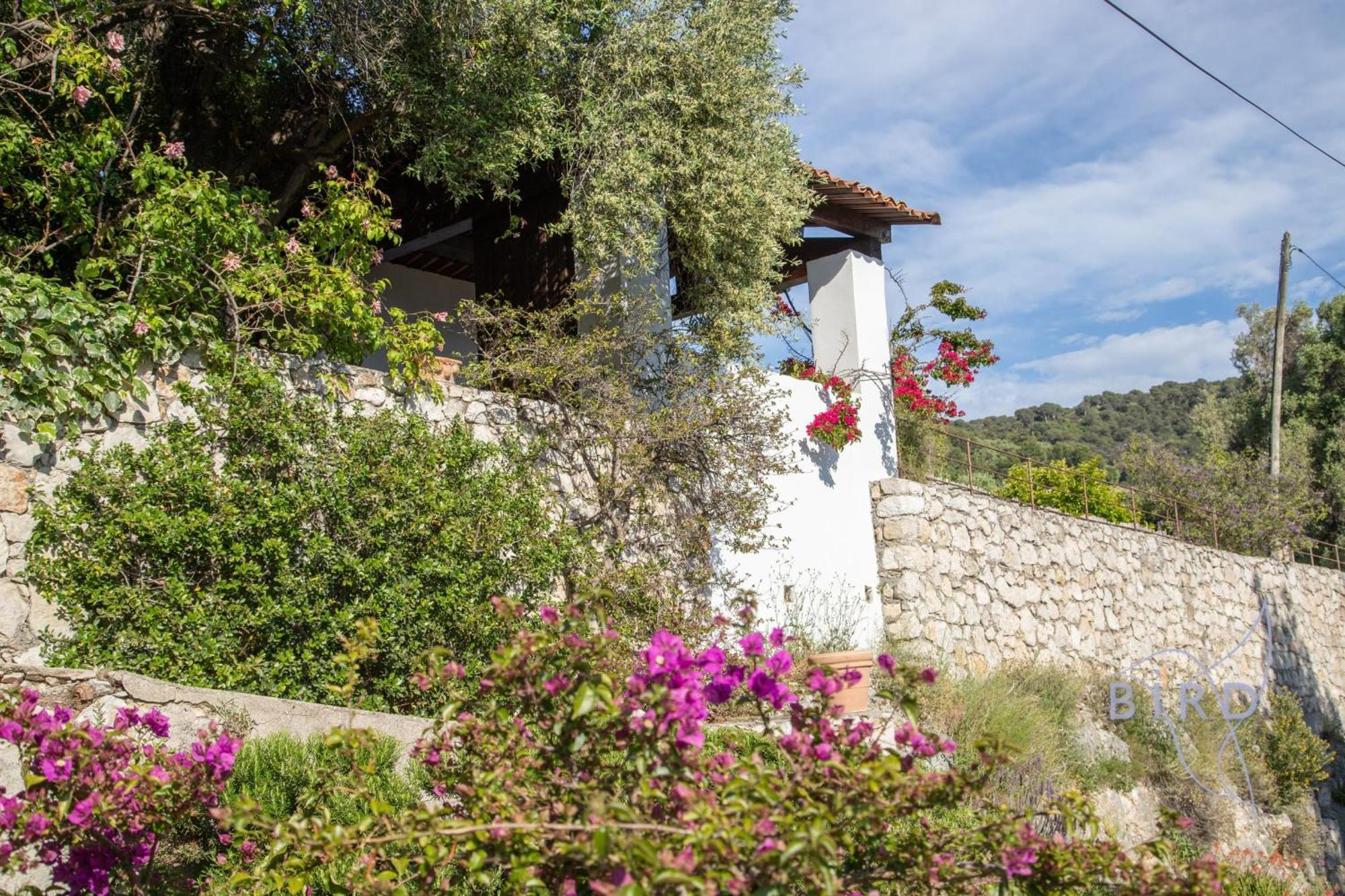 Villa Bonnard In Sea And View & Pool Nice