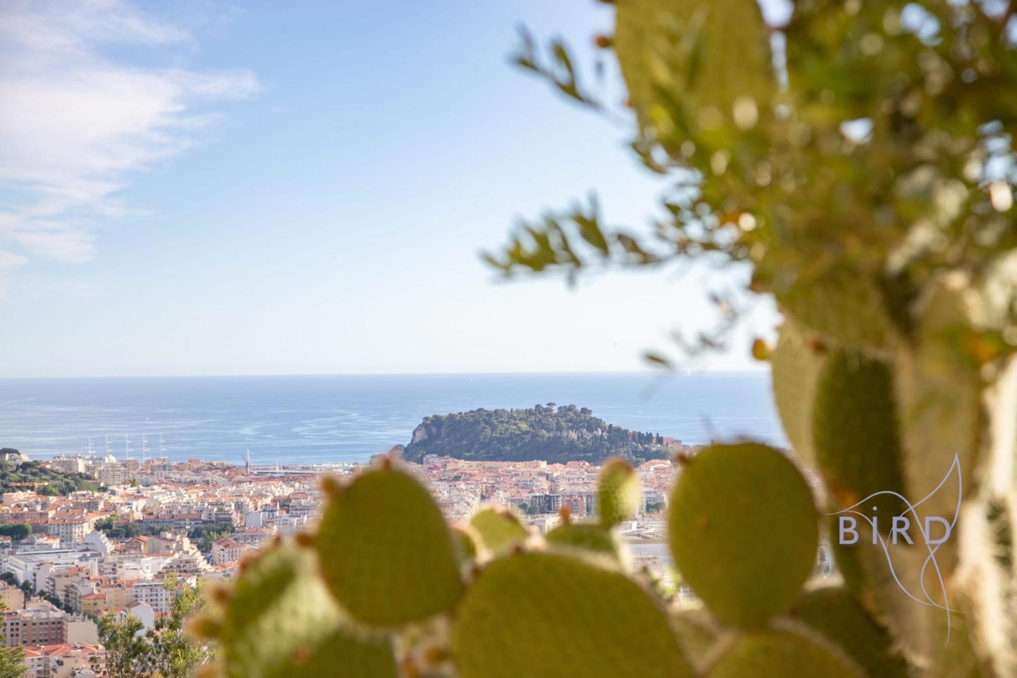Bonnard In Sea And View & Pool Villa